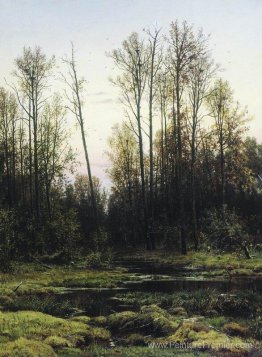 Forêt au printemps