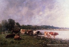 Vaches sur les berges des touques