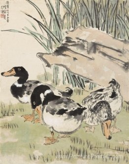 Trois canards