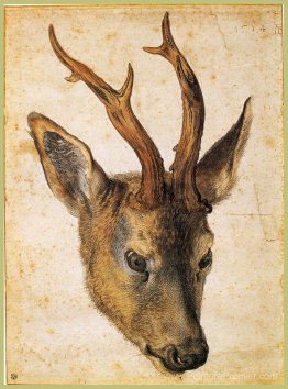 Tête d'un cerf