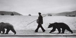 Montreur D'Ours au long du Bosphore