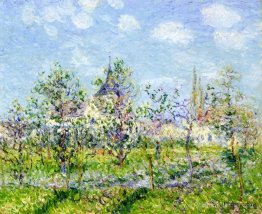 Verger à fleurs, printemps