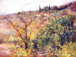 Vue de fiesole