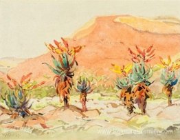 Aloes près d'une rivière