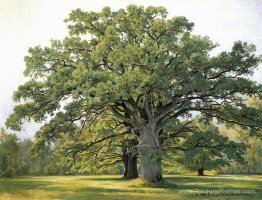 Oaks dans le vieux Peterhof