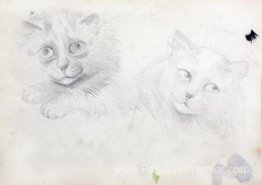 Croquis de chats birmanes