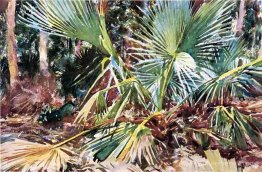 Palmettos, Floride