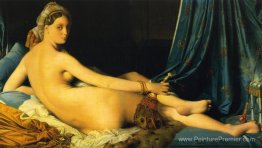 La Grande Odalisque