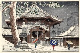 Neige au temple Nan-Endo, Nara