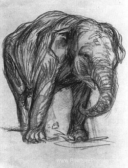 Éléphant