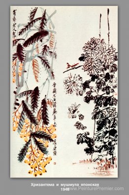 Chrysanthemum et loquat