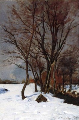 Paysage d'hiver avec ruisseau