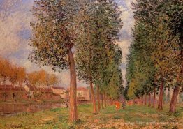 L'avenue Poplar à Moret, jour nuageux, matin