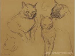 Croquis de chat