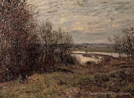 Le bois de Roches Courtaut, près de