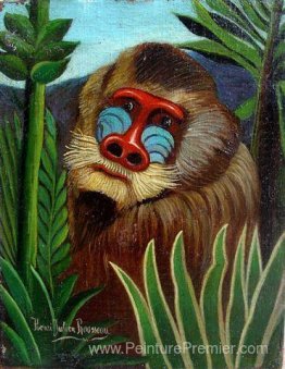 Mandrill dans la jungle