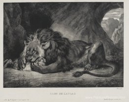 Lion de l'atlas