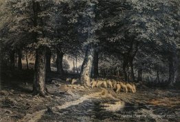 Troupeau de moutons dans la forêt