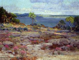 Mountain Pinks in Bloom, Medina Lake, sud-ouest du Texas