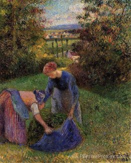 Femmes rassemblant l'herbe