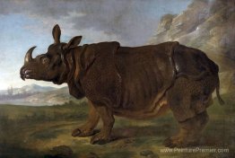 Clara les rhinocéros