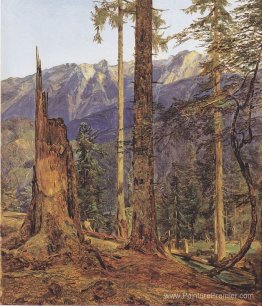 Le Höllengebirge à Ischl