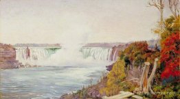 Vue des deux chutes du Niagara