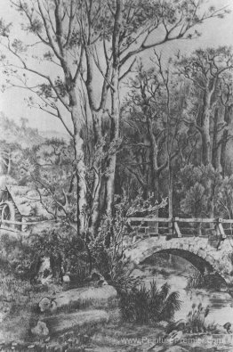 Moulin près du ruisseau forestier