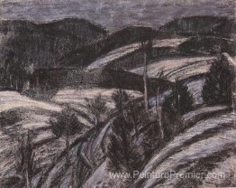 Paysage d'hiver