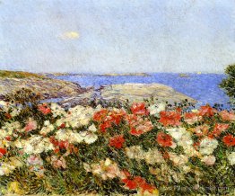 Coquelicots sur les îles de Shoals