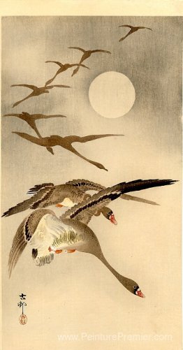 Huit oies à front blanc en vol; Pleine lune derrière