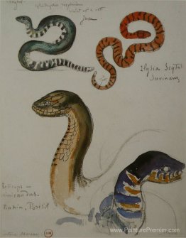 Quatre études sur les serpents