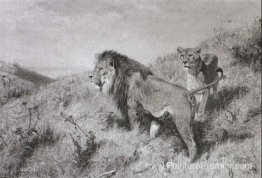 Löwenpaar dans Der Savanne