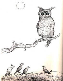 Sans titre (hibou)