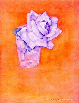 Rose blanche dans un verre