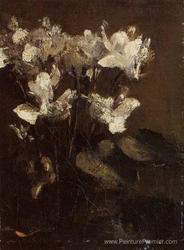 Fleurs, cyclamens