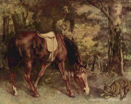 Cheval dans les bois