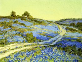 Bluebonnets, fin après l'après-midi