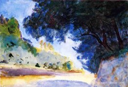 Paysage, oliviers, corfu