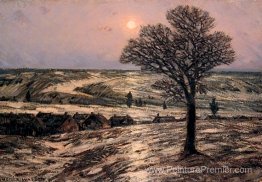 Moonlight, décroissant l'hiver