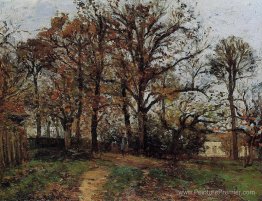 Arbres sur une colline, automne, paysage en Louvèciens