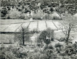 Paysage de l'Arizona