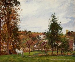 Paysage avec un cheval blanc dans un champ, l'ermitage