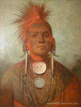 See-Non-Ty-A, un Iowa Medicine Man