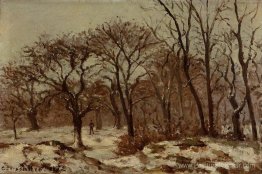 Brandard de châtaignier en hiver