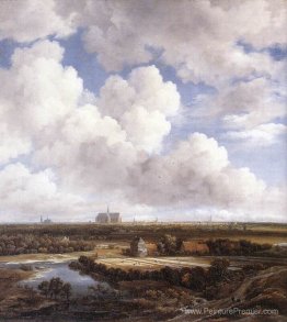 Vue de Haarlem avec des terrains de blanchiment