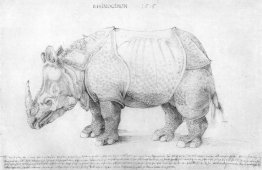 Rhinocéros