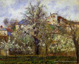 Le potager avec des arbres en fleur, printemps, pontoise