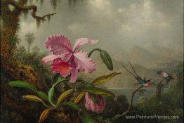 Orchidées et colibris