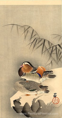 Ducks de mandarin dans la neige